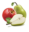 Luscious Pear and Apple